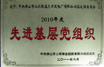 恒益電廠黨總支獲2010年度先進(jìn)基層黨組織